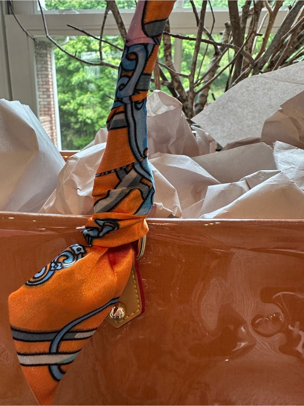Authentic Louis Vuitton Retail Shopping Bag in A PVC with scarf wrap size Large - Picture 2 of 12